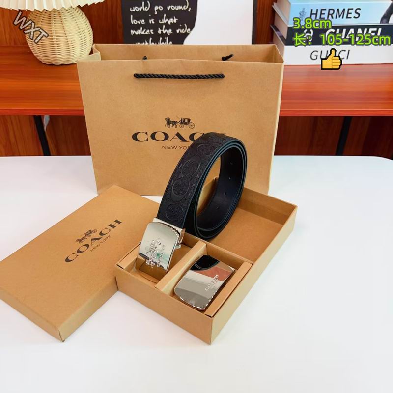 Coach belt 38mmX105-125cm 8L12
